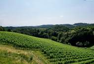 IHRE EIGENEN CHALETS! TRAUMHAFTES GRUNDSTÜCK AN DER SÜDSTEIRISCHEN WEINSTRASSE! Ein Ausblick der Ihnen die Sprache verschlagen wird - im schönsten Teil der grünen Steiermark!