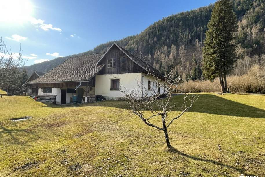 Ebenes, südlich ausgerichtetes Baugrundstück mit guter Verkehrsanbindung im Mölltal + abbruchreifes Haus, Grund und Boden-kauf, 63.000,€, 9816 Spittal an der Drau