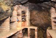 Extravagantes Wohnen in herrlicher Lage am linken Donauufer in Urfahr