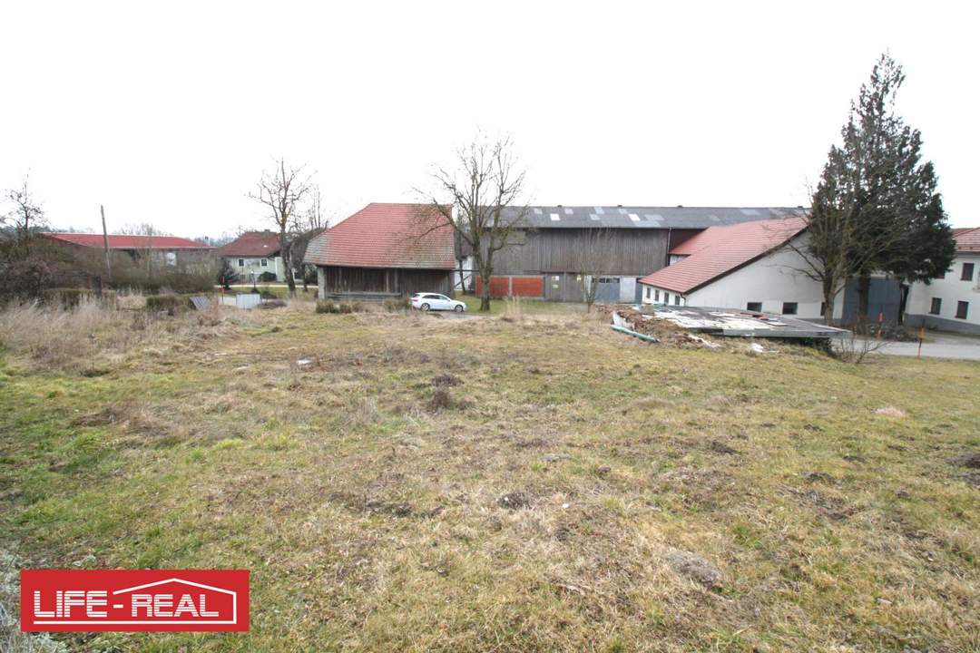 Großzügiges Baugrundstück in ruhiger Dorflage – voll erschlossen & ohne Bauzwang
