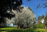 Traumhaftes Einfamilienhaus am Ölberg