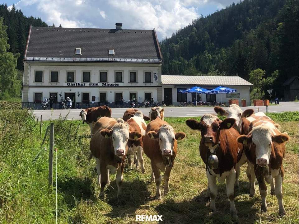 Gasthof in touristischer Top-Lage im Mariazellerland