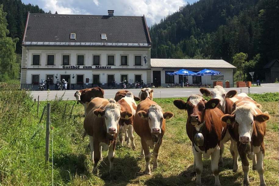 Gasthof in touristischer Top-Lage im Mariazellerland, Gewerbeobjekt-kauf, 299.000,€, 8630 Bruck-Mürzzuschlag