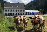 Gasthof in touristischer Top-Lage im Mariazellerland
