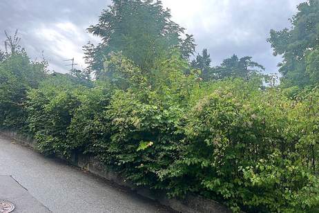 Baugrund in Klosterneuburg – Weidling 1.793 m² Grundstücksfläche | Altbestand vorhanden | teilbar !!, Grund und Boden-kauf, 3400 Tulln