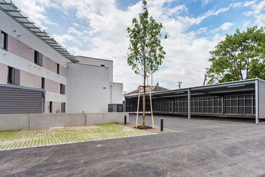 Garagenplätze in Bahnhofsnähe zu Vermieten, Kleinobjekte-miete, 70,00,€, 2232 Gänserndorf