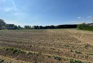 Attraktives Baugrundstück mit Entwicklungspotenzial – schöne Lage in St. Marein Nähe Wolfsberg