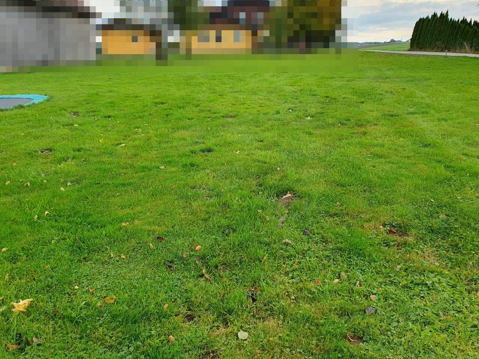 Landidylle - schönes, ebenes Grundstück - keine Bauverpflichtung!