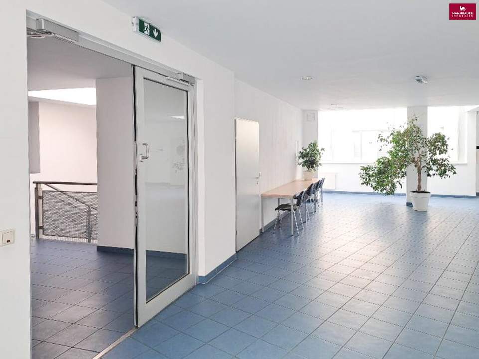 Büro 182 m2 im Industriezentrum Liesing zu mieten