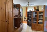 Viel Raum im Paradies