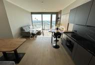 Möbliertes Apartment im 42. Stock mit Weitblick auf die Donau! Pool, Spa und Fitness inklusive!