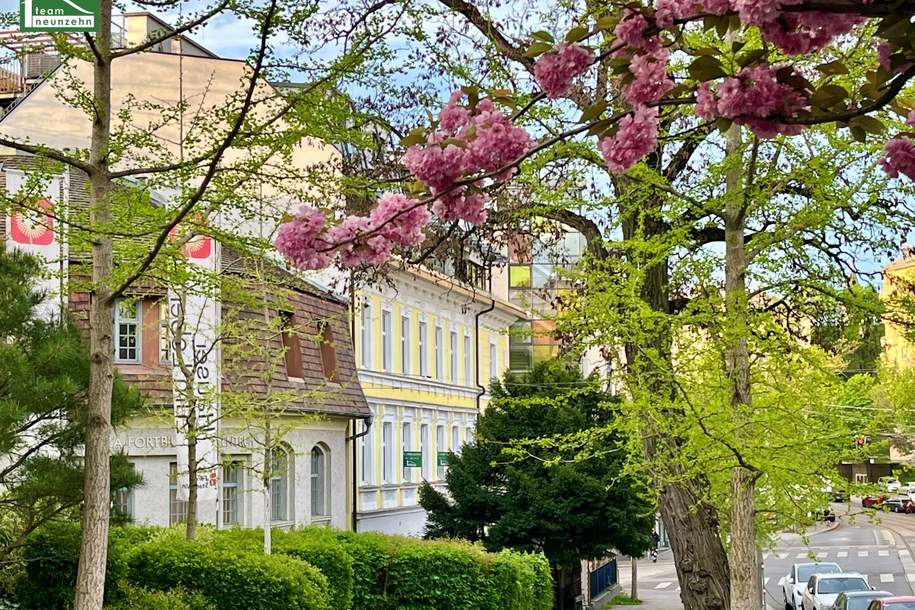 Altbau-Wohnung am Fuße der Hohen Warte neben dem Setagayapark! Faires Preis-Leistungs-Verhältnis! Gute Anbindung ins Stadtzentrum! Saniertes Altbau-Zinshaus!, Wohnung-kauf, 270.000,€, 1190 Wien 19., Döbling