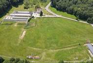 Schlossanwesen mit über 10 ha Grund, mit bestehenden Stallungen, Gehegeflächen und Infrastruktur für Tierhaltung- ideal für Käufer mit Platzbedarf, Tiere und Naturbezug!