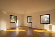 Teilsaniertes Wohnhaus mit viel Platz, Grünblick und Entwicklungspotenzial in Zentrumsnähe