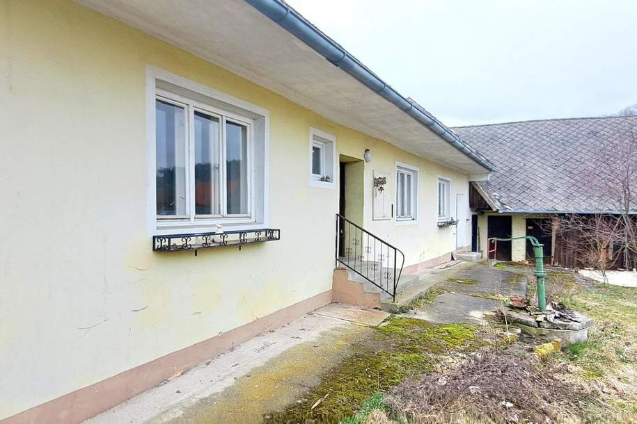 BACK TO THE ROOTS, Haus-kauf, 150.000,€, 3110 Sankt Pölten(Land)