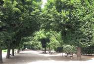 2-Zimmer Wohnung, Neubau, Erstbezug, Süd-Ostausrichtung, 1. Stock