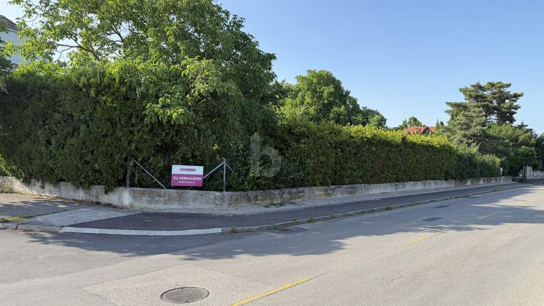 AUFGESCHLOSSEN - SONNIGES, EBENES ECKGRUNDSTÜCK MIT ALTBAUMBESTAND