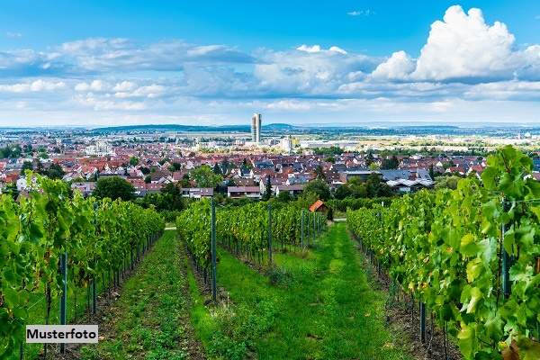 Großzügiges Weingut mit umfangreichen Hallen- und Lagerflächen