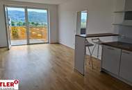 Mietwohnung, 3 Zimmer + Balkon, in Linz Stadt