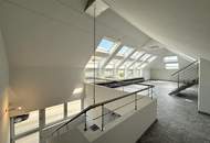 Modernes Atelier, Loft, Dachterrasse im Neunzehnten // Modern Studio, loft, roof terrace in the nineteenth //