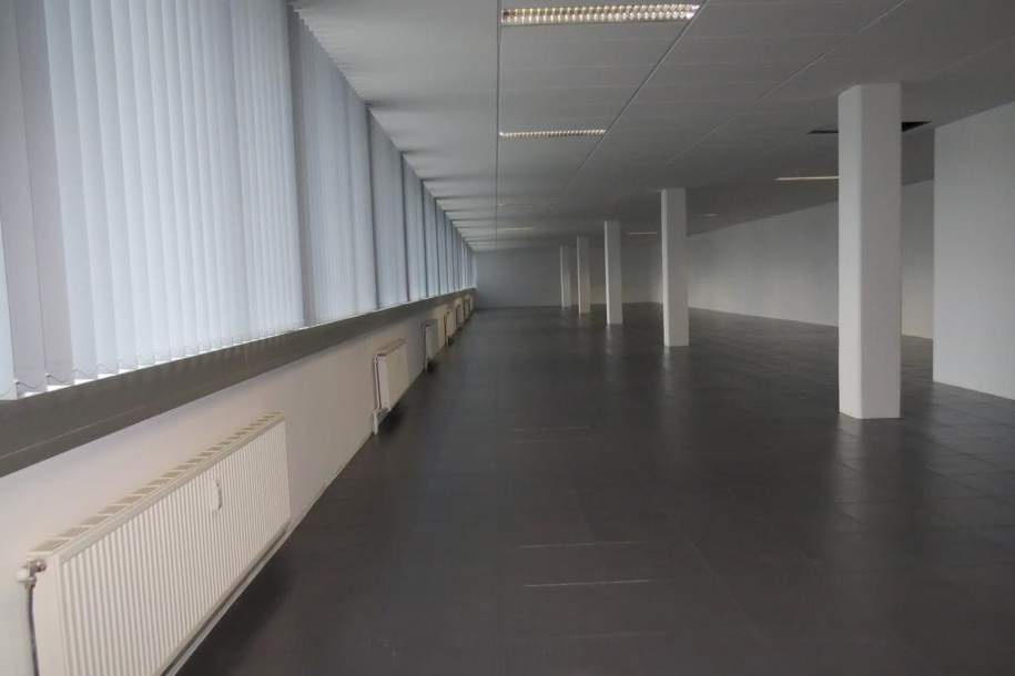 Büroflächen zu mieten - ab 380 m², Gewerbeobjekt-miete, 5.244,00,€, 2331 Mödling