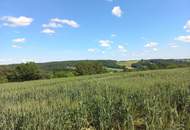 Baugrund in Ruhelage mit Anbindung an die S7