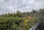 Solide Kapitalanlage in Perg – Gewerbeeinheiten, Garagen & Wohnen kombiniert