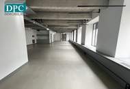 DPC |Stylishes Büro mit Open-Space Konzept