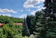 EINFAMILIENHAUS IN SEHR SCHÖNER LAGE