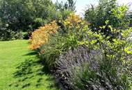 Ein Zuhause für Menschen mit Anspruch