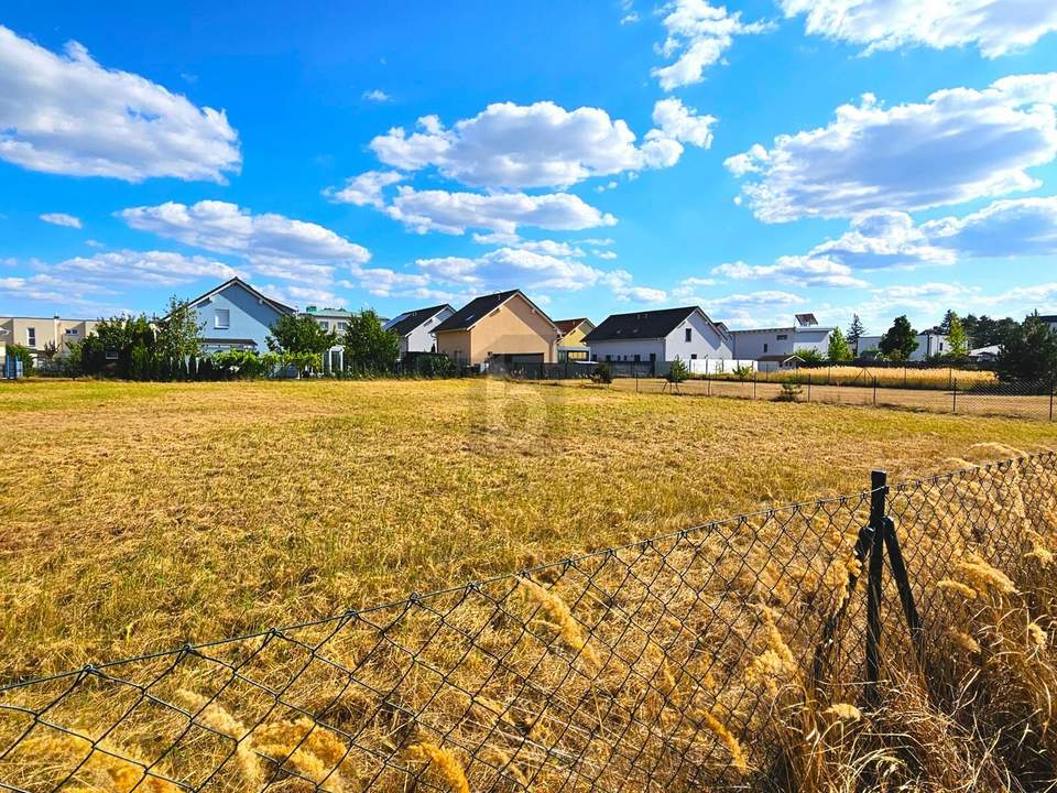 RAUM FÜR WOHNTRÄUME 2