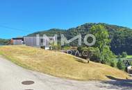 Baugrund 1.143 m² mit Donaublick - oberhalb Zentrum von St. Nikola - Südhang