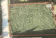 HOCHWASSERSICHER MIT GARTENHÜTTE UND WEITBLICK