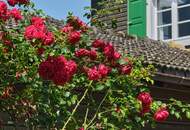 Refugium im Herzen von Schruns – historisches Anwesen mit eigenem Chalet