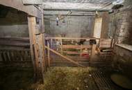 !! Neuer Preis !! Ein Rückzugsort mit Seele – Naturidylle trifft auf kreative Entfaltungsmöglichkeiten