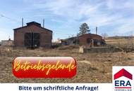 MIETE in Dobermannsdorf: Betriebsgelände mit drei vielseitig nutzbaren Hallen