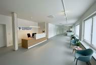 Bad Vöslau! Sanierungsbedürftiger entkernter Bungalow zum Kauf mit großem Garten!