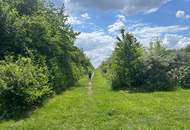 Modernes Reihenhaus mit hochwertiger Ausstattung in ruhiger Siedlung