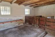 Altes Landhaus mit großem Grundstück - ideal für Pferdehaltung und individuelle Gestaltung