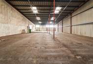 GIGANTISCH gesucht? HIER RICHTIG