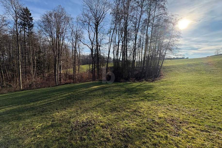 WOHNEN AUF HÖCHSTEM NIVEAU, KEIN BAUZWANG- SÜDHANG IN RUHELAGE MIT ZENTRUMSNÄHE, Grund und Boden-kauf, 359.260,€, 4451 Steyr-Land