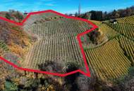 Preisanpassung !! Weingarten mit Landwirtschaft und Altbestand in Kranach, Gemeinde Gamlitz