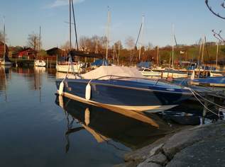 Elektro Sportboot Regal Empress 190xl + Trailer, 14500 €, Auto & Fahrrad-Boote in 5202 Neumarkt am Wallersee