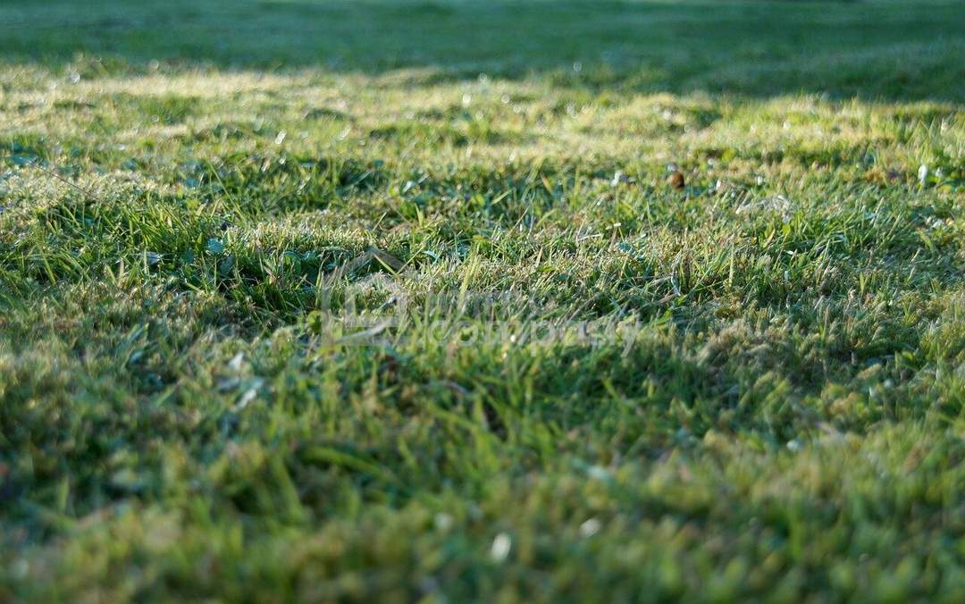 Planen - Bauen - Wohnen nahe Wien ** 2 WE möglich **