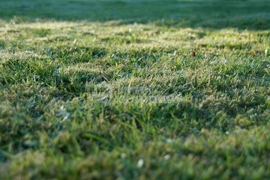 Planen - Bauen - Wohnen nahe Wien ** 2 WE möglich **, Grund und Boden-kauf, 536.400,€, 2201 Korneuburg