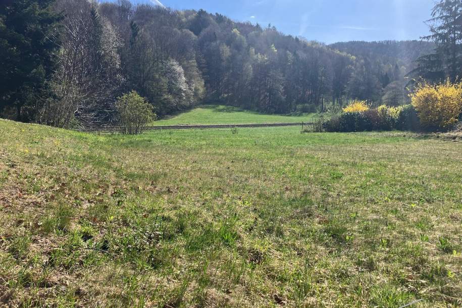 Baugrund in idyllischer Lage nahe Warth, Grund und Boden-kauf, 79.000,€, 2840 Neunkirchen