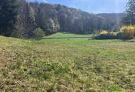 Baugrund in idyllischer Lage nahe Warth