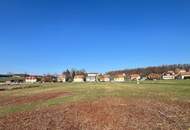 Großes Baugrundstück (ca. 1 ha) in Güssinger Ortsrandlage!