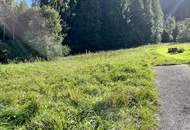 Baugrundstück mit Wald