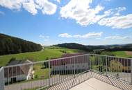 Attraktive 114m² große Doppelhaushälfte mit 2 Wohn-/Gewerbeeinheiten, Garten und Balkon in Gutauer Naturlage zu kaufen